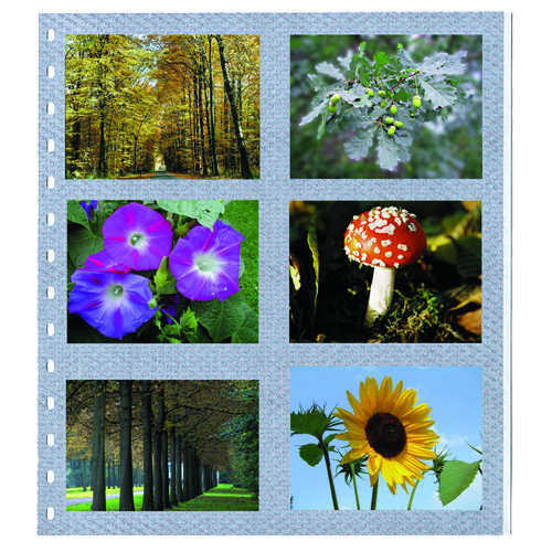 000675fotoblaetter Fogli "Favorit" 676