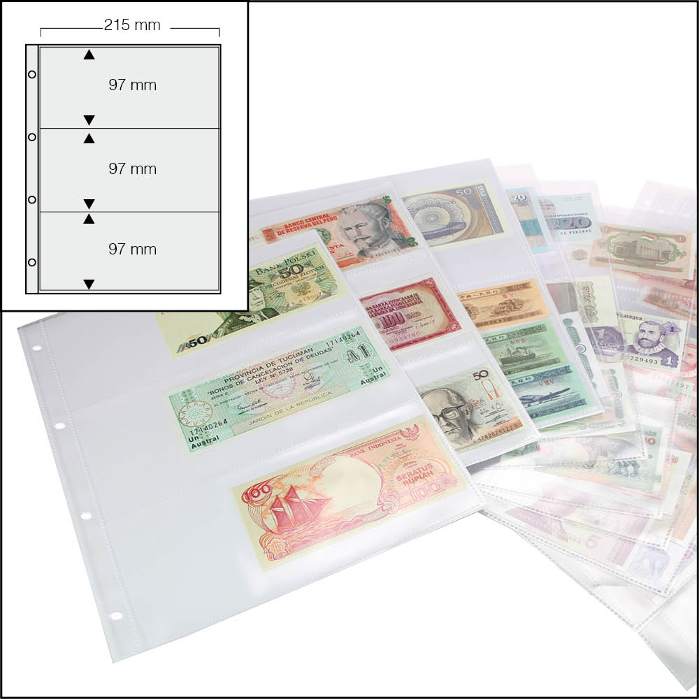 005483-15-einsteckbla_tter_banknoten_3er 15 fogli supplementari 5483 per Album per banconote DESIGN