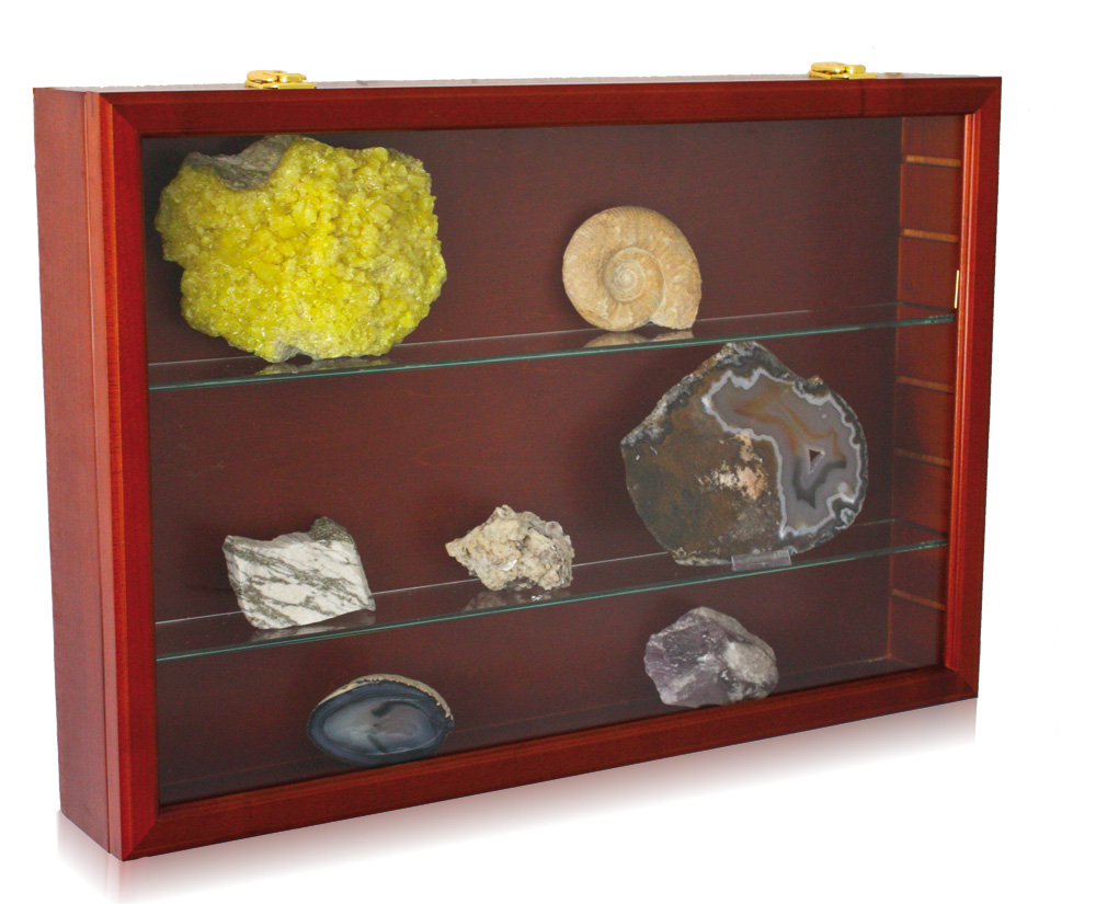005927-holz-vitrine_maxi_1 Vetrinetta in legno MAXI