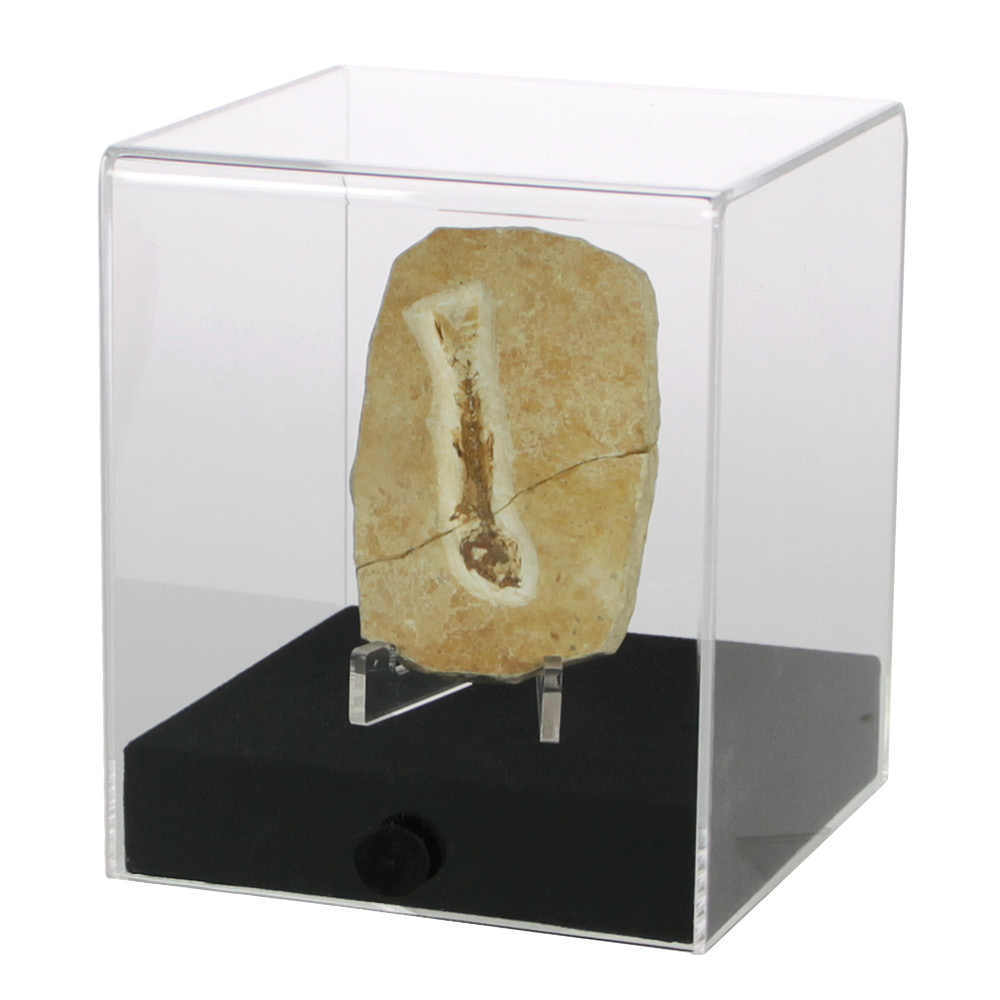 5288 Espositore Cube in plexiglas