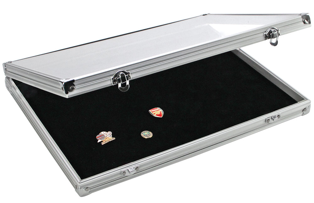 5882-pin-vitrine Vetrinetta in Alu