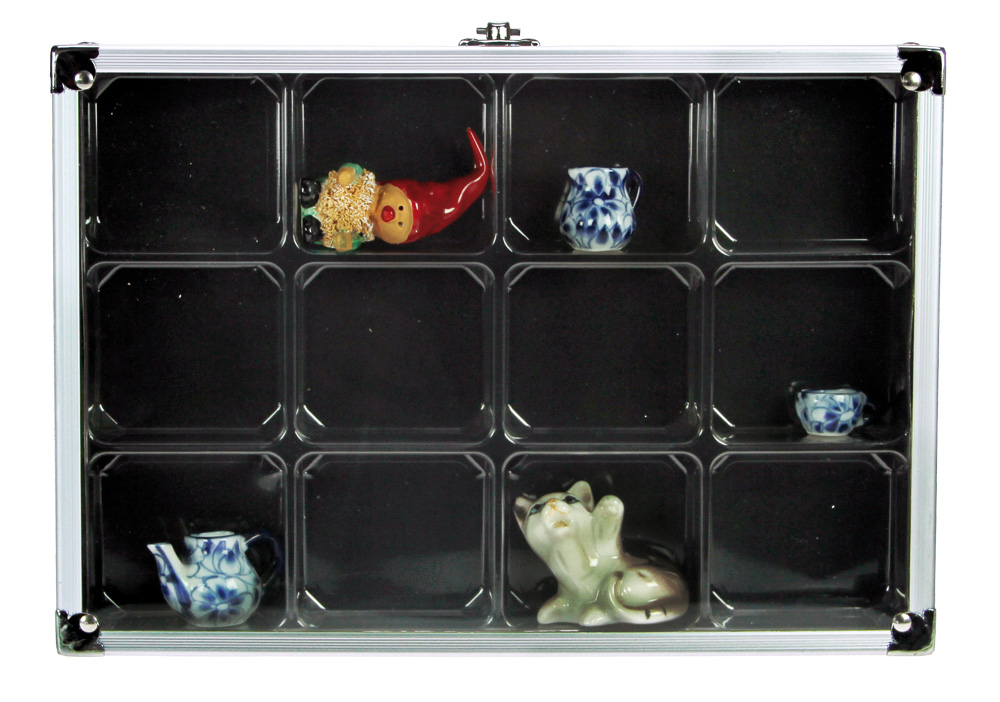 005616-alu-vitrine_retusche Vetrinetta Alu "Compact"